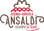 Azienda Agricola Ansaldi Logo